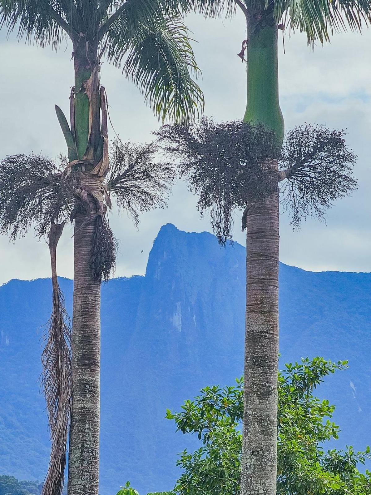 Triple Room with Mountain View,1696421398:JPEG